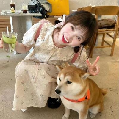 系列大片